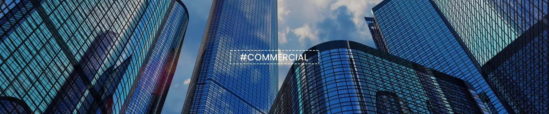 Fortune Elite Andheri East