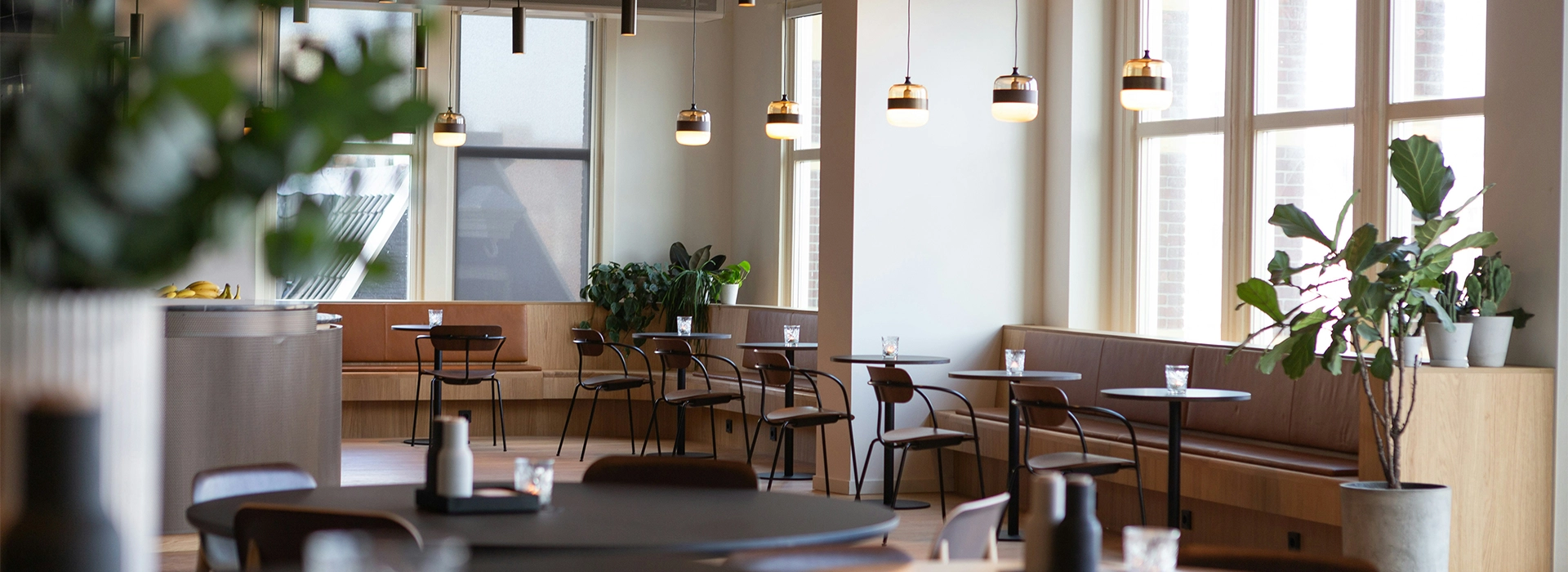 Saffron Elite Banner 01 Saffron Elite Banner 01